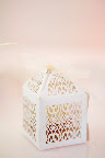 Mini cupcake favors in pretty boxes.