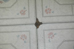 the floor 004 the floor 004
