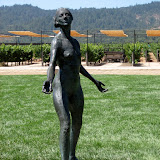 Napa & Sonoma