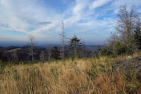 IMG_0345.JPG