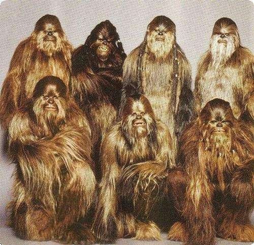 chewbacca_family