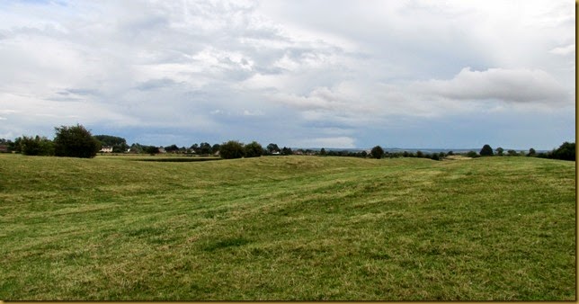 IMG_1108 IMG_1108