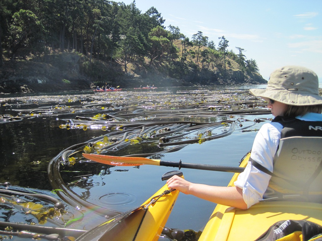 [IMG_0925%255B4%255D.jpg]