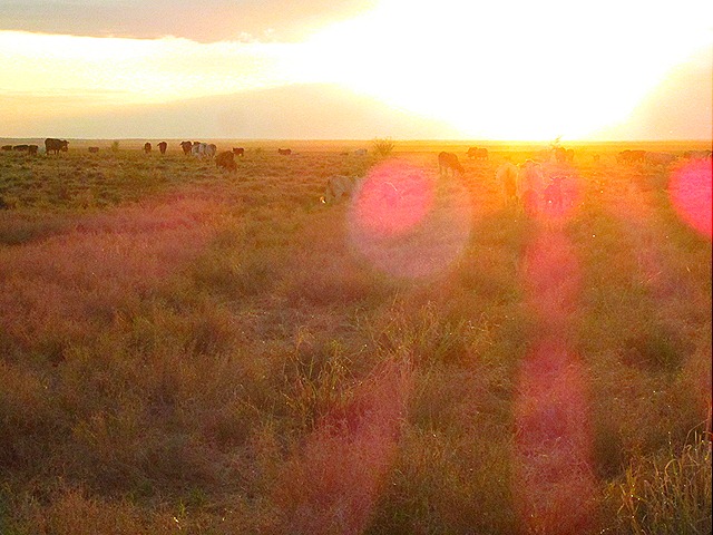 [IMG_1490%255B6%255D.jpg]
