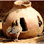 Un abreuvoir à poules