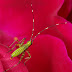 20120412_9