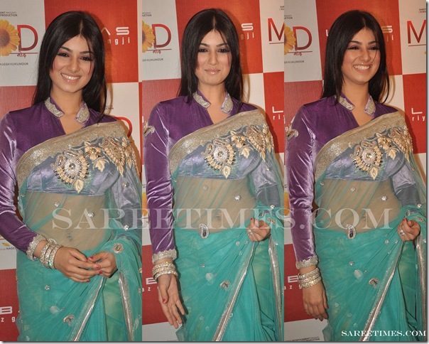 Ayesha_Takia_Full_Sleeves_Saree_Blouse