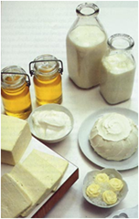 Milk products Cheese