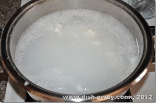 Dove Creamy Body Wash Recipe by www.dish-away.com