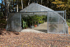 Here we are at the tropical greenhouse and it looks as though someone has already been busy putting plants away.
