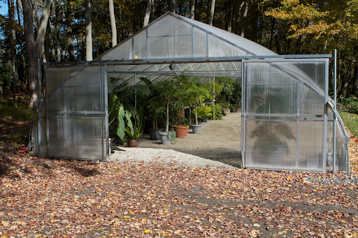 Here we are at the tropical greenhouse and it looks as though someone has already been busy putting plants away. Here we are at the tropical greenhouse and it looks as though someone has already been busy putting plants away.