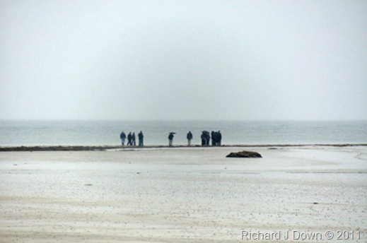 DSC_7861_web DSC_7861_web