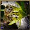 P1080530g.JPG