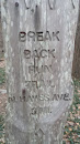 Break Back Run Trail