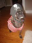 Captain Jack Sparrow