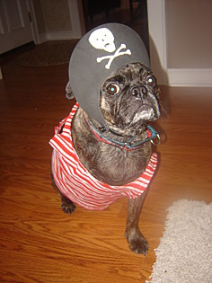 Captain Jack Sparrow