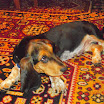DSCN2491.JPG
