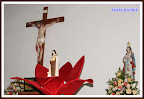 SONY DSC
