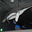 hokkaido_535.jpg