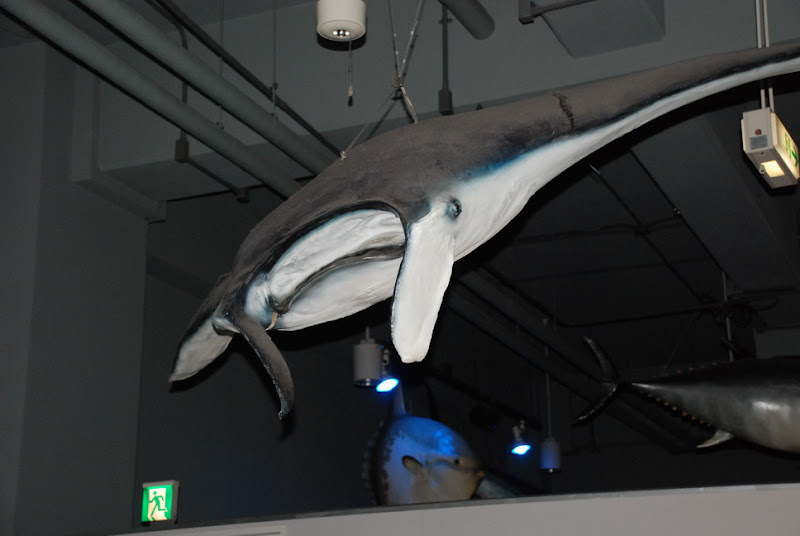 hokkaido_535.jpg