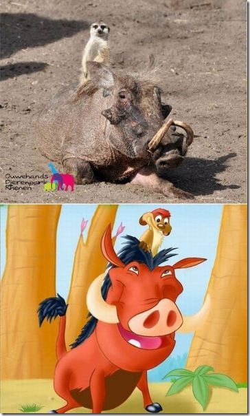 viral-picdump-pics-17