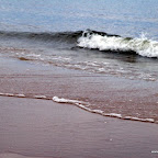 20100826_028_small.JPG