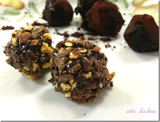 tartufo-al-cioccolato-chocolate-truffle-2 tartufo-al-cioccolato-chocolate-truffle-2