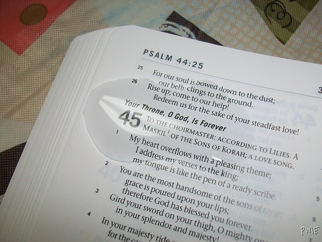 [waterproof%2520bible%2520review%2520013%255B7%255D.jpg]
