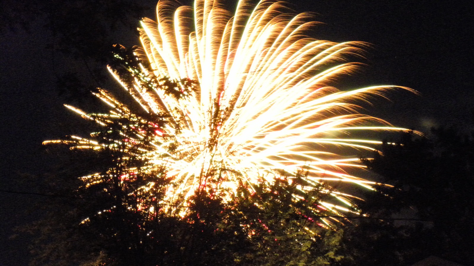 [Fireworks%2520Neighborhood%2520July%25202%252011%2520%25287%2529compressed%255B2%255D.jpg]