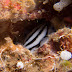 P6158336