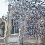 image11.jpg