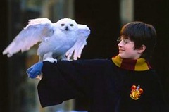Edwiges - Harry Potter