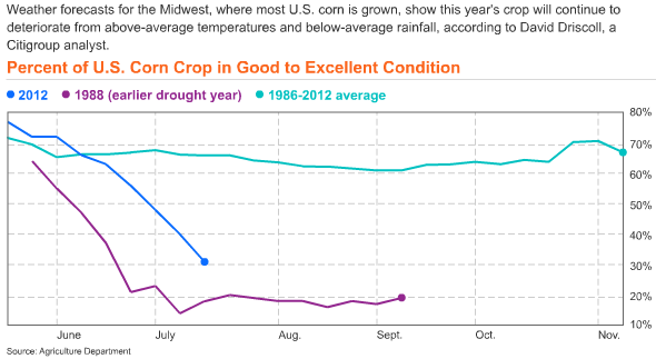 Percent of U.S. corn crop in good to excellent condition, July 2012. Corn is due for more damage from a drought that has produced the worst U.S. growing conditions in almost a quarter century. Agriculture Department via bloomberg.com