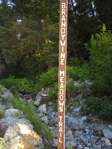 [IMG_56544.jpg]