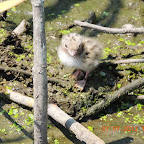 DSCN9522.JPG