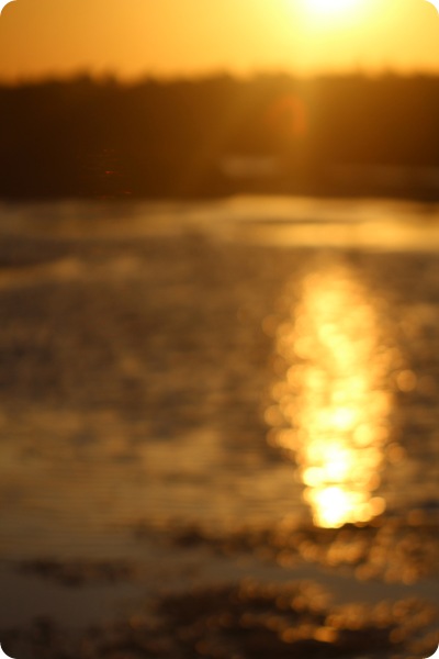 ile01