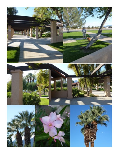 park park