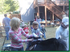 Ty horse 1 Ty horse 1