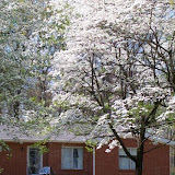 100_0494.JPG