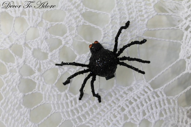 spider 005-002