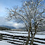 Wintertag in Mieming