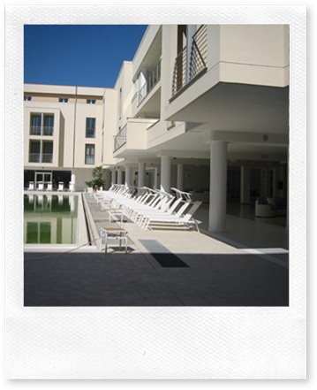 IMG_8616 IMG_8616
