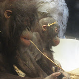 Zoo Trip