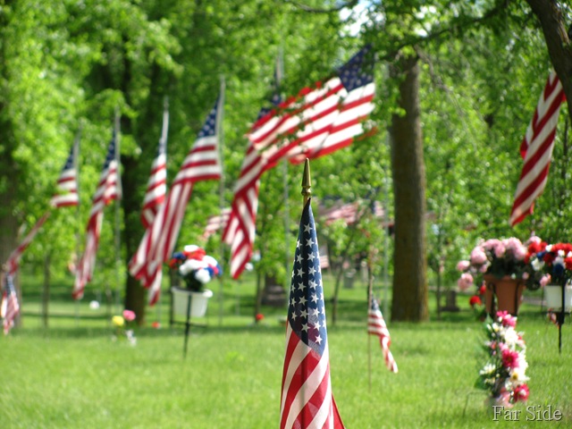 [Avenue%2520of%2520Flags%2520%2520Single%2520flag%255B3%255D.jpg]