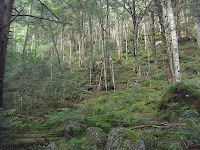 R0011232.JPG Photo