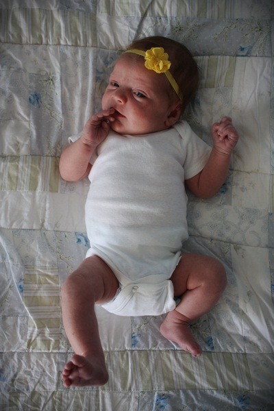 [IMG_0929-copy2.jpg]