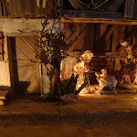1597-2.jpg