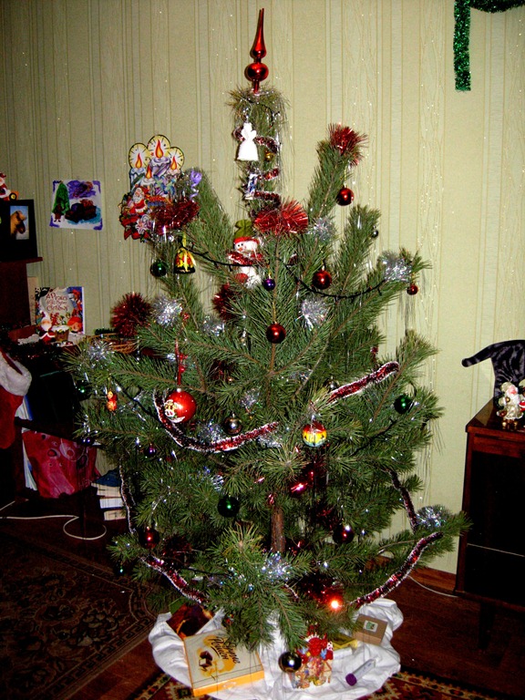 [DSCN1548%255B3%255D.jpg]
