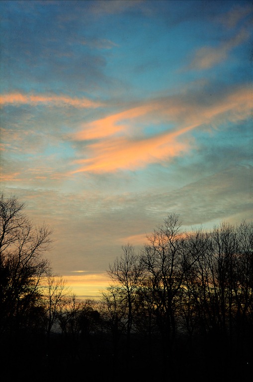 [DSC_5599%2520copy%25202%255B5%255D.jpg]