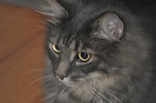 DSC_0281.JPG